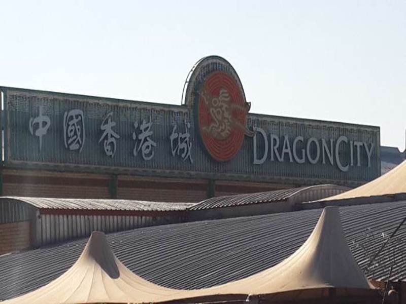 Dragon City picture